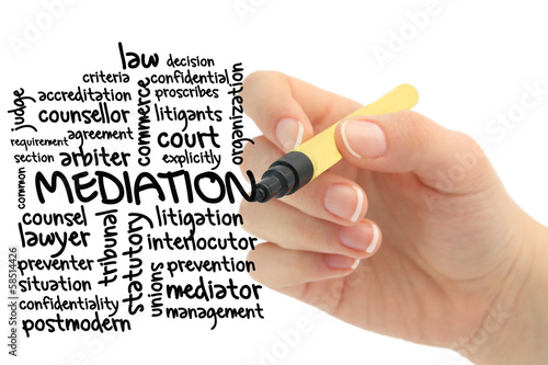 Word cloud for Mediation