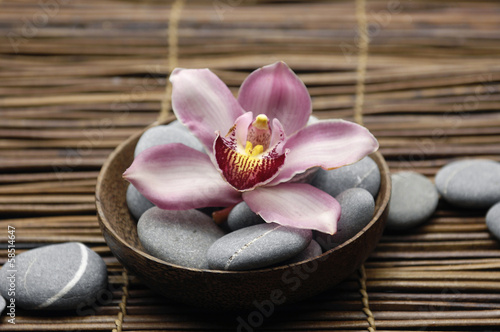 Zen rock and gorgeous orchid in bowl