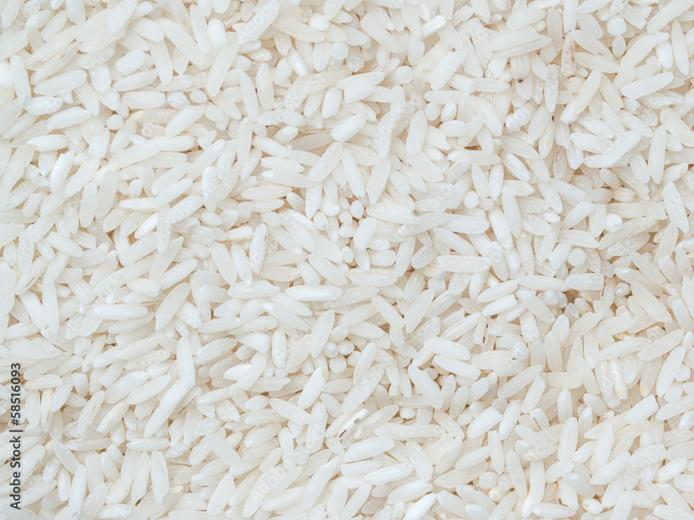 White rice White rice