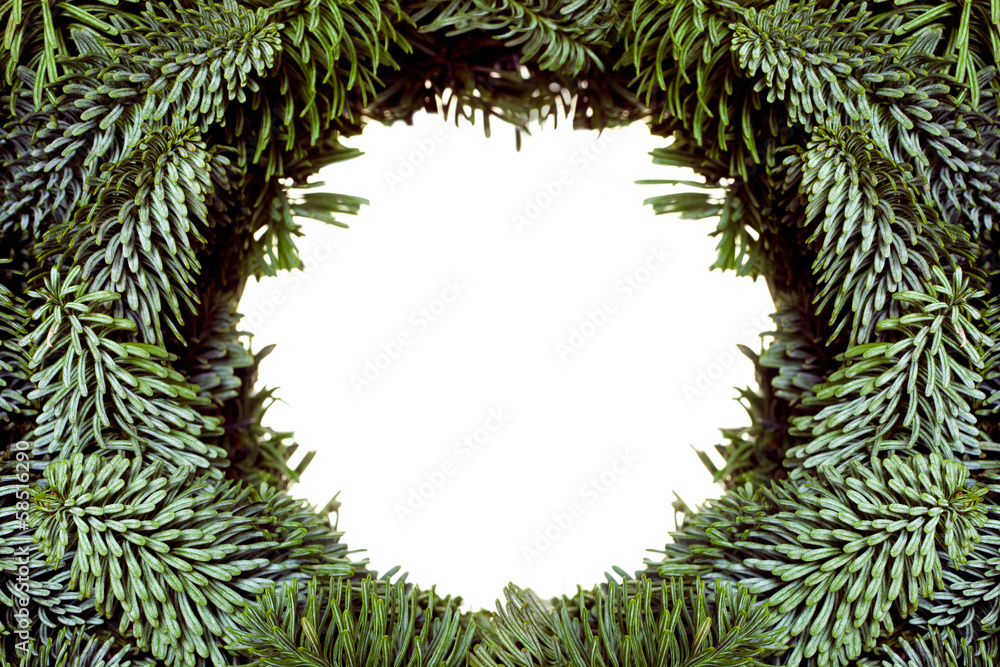 Frame from Christmas tree branches Frame from Christmas tree branches
