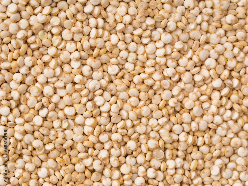 Quinoa Quinoa