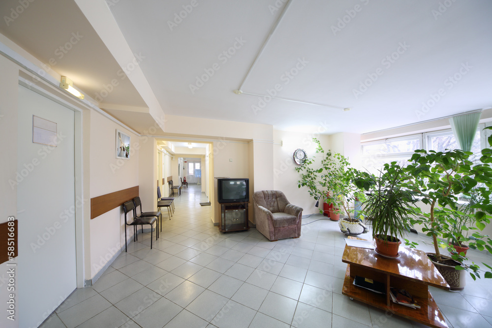 Empty corridor with plants growing in pots