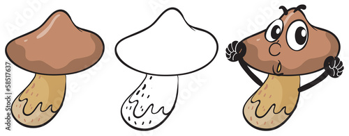 Mushrooms