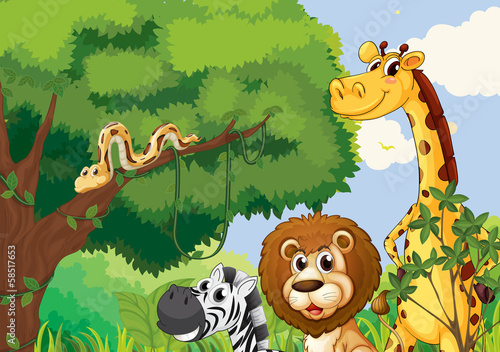 A forest with scary wild animals