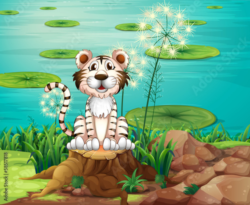 An animal above the stump at the riverbank