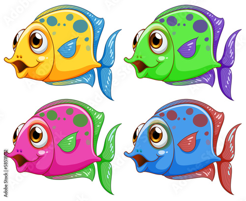 Four colorful fishes