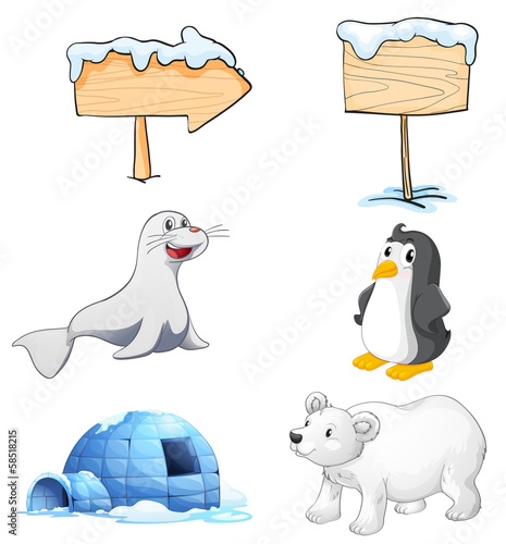 Signboards, animals and an igloo at the north pole