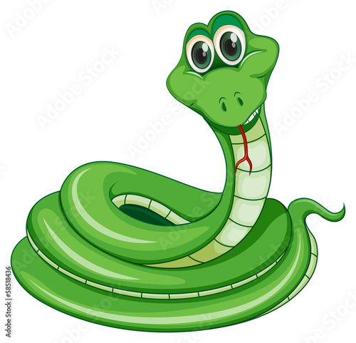 A green snake