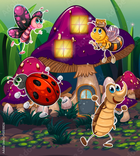Different insects near the mushroom house
