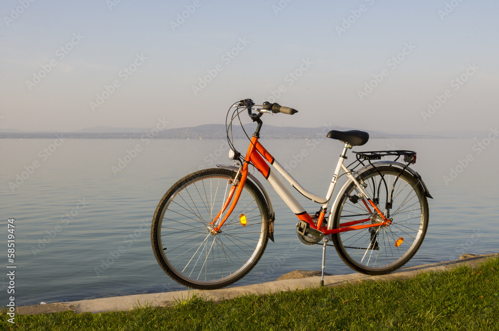 Obraz premium Bicycle.