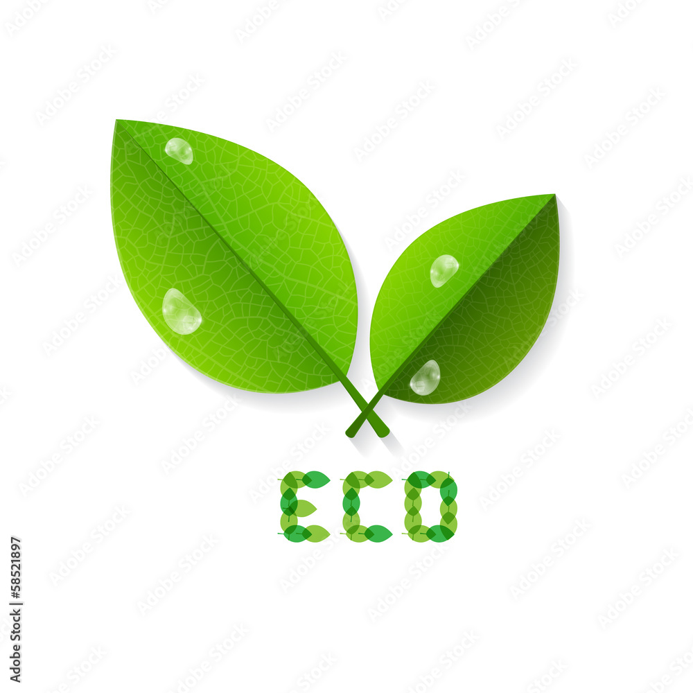 Ecology Background With Leaves Ecology Background With Leaves