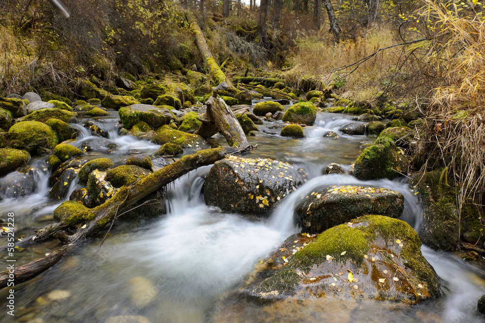 Fototapeta premium mountain river