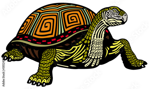 turtle