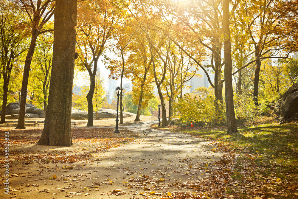 Fototapeta premium Central Park Scenic in Autumn, New York