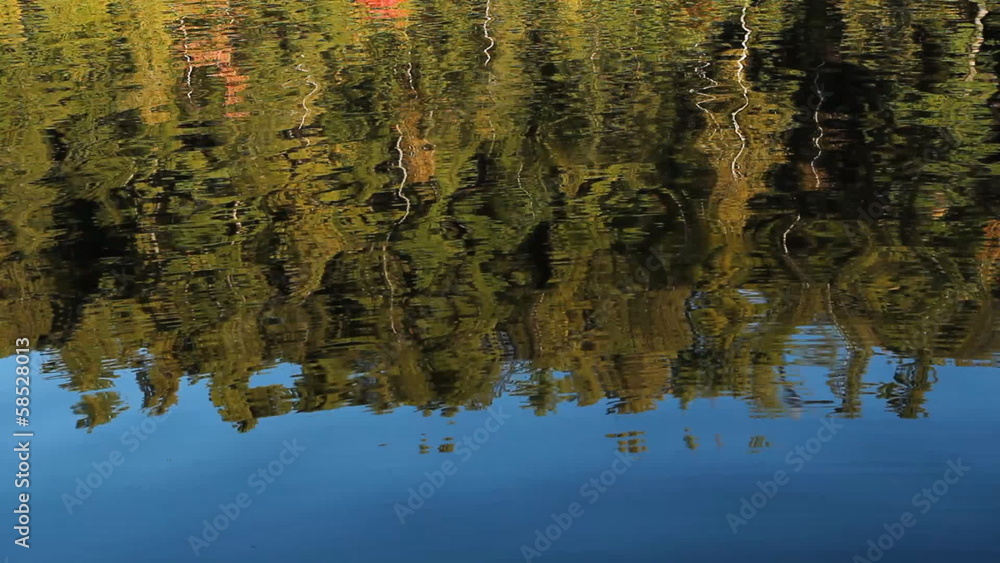 Tree reflections. Autumn in Haliburton, Ontario, Canada. Tree reflections. Autumn in Haliburton, Ontario, Canada.