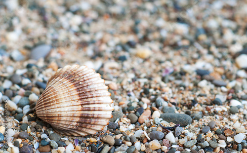 beach stones