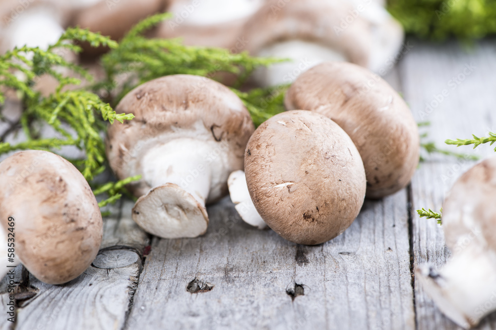 Some Fresh Mushrooms Some Fresh Mushrooms