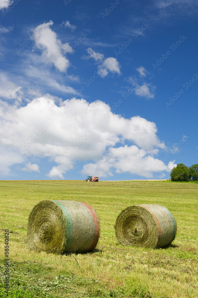 Harvesting rolls hay
