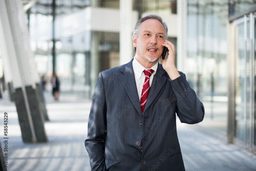 Entrepreneur talking on the phone Entrepreneur talking on the phone