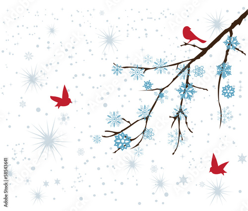 vector snow branch with red birds