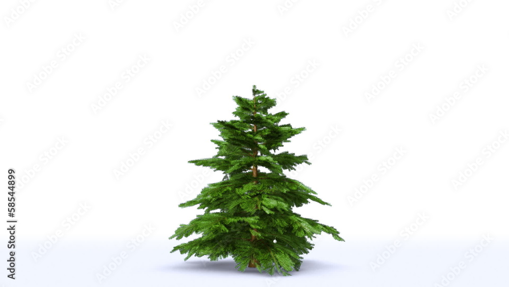 Growing Christmas tree with toys and gift boxes