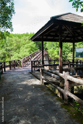 Pavilion with pathway at Mangrove forest