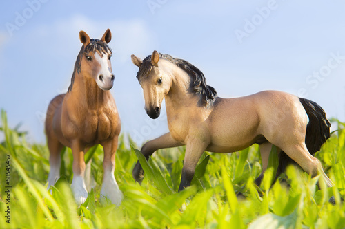 青空と草原の馬 © tsuppyinny
