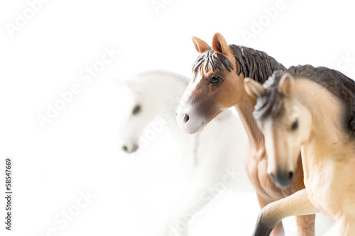 三頭の馬 © tsuppyinny