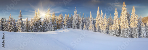 Panorama of the sunny winter landscape in the mountains