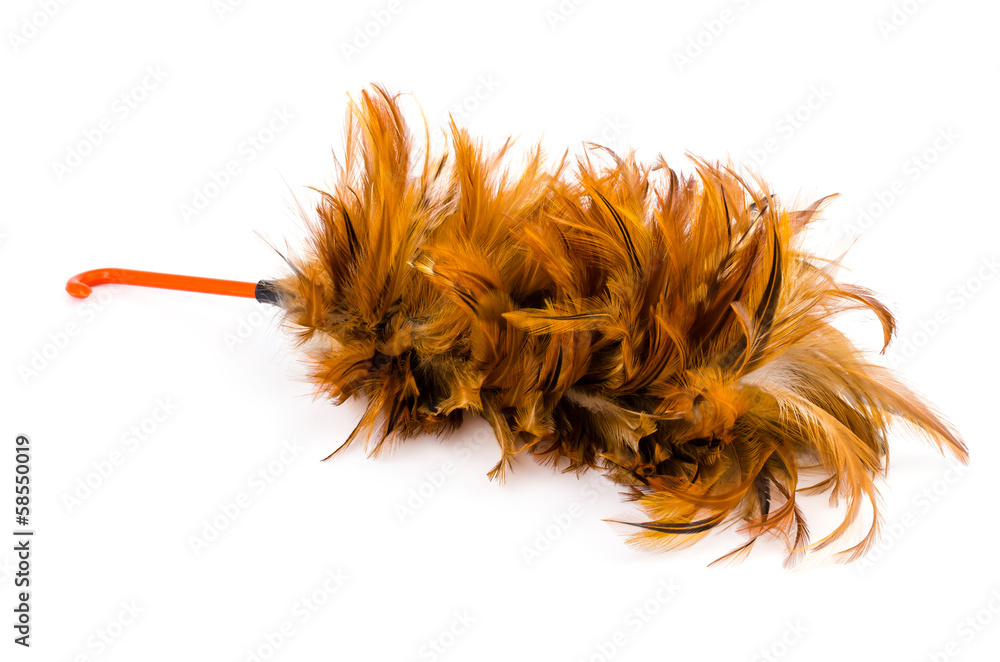 Obraz premium Duster
