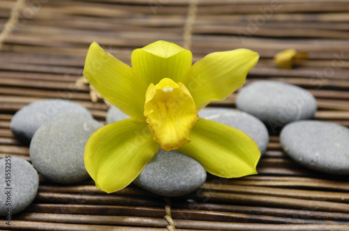 Macro of yellow orchid with stones on mat