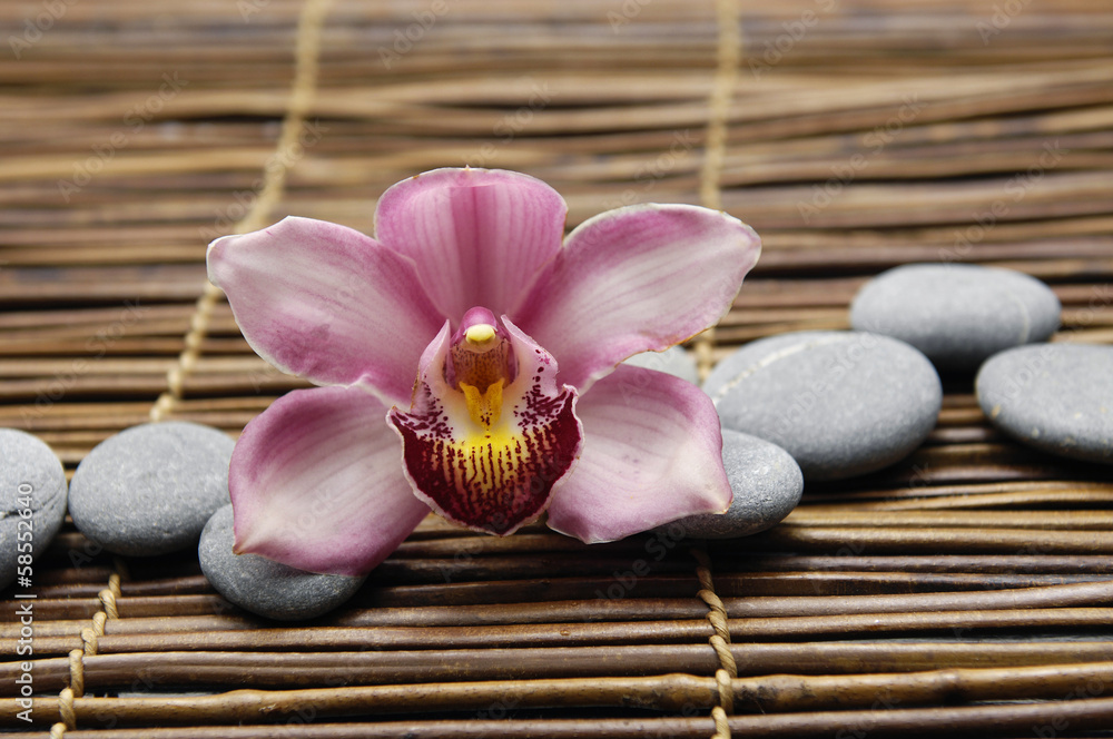 Macro of gorgeous orchid with stones on mat Macro of gorgeous orchid with stones on mat