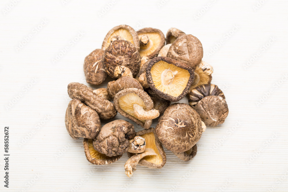 Dried mushroom isolated on white Dried mushroom isolated on white