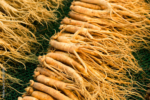 Obraz na płótnie Fresh ginseng in Korean market