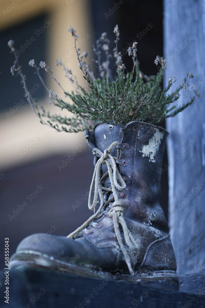 Fototapeta premium Flowers in old Boots
