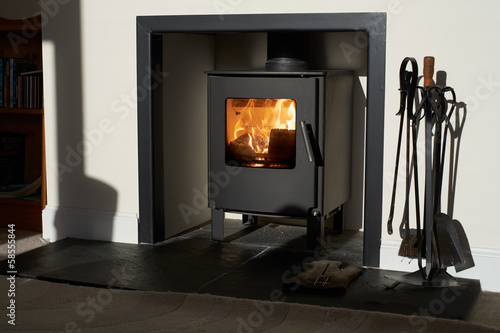 Wood burning stove