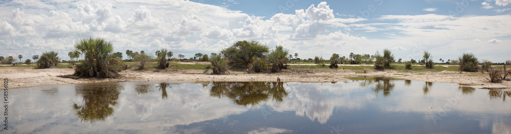 African landscape with trees reflected in water African landscape with trees reflected in water