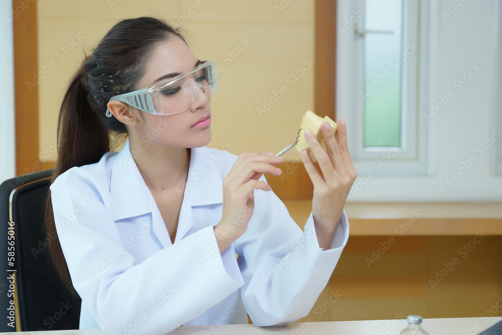 Young beautiful woman dentist holding denture cast model Young beautiful woman dentist holding denture cast model