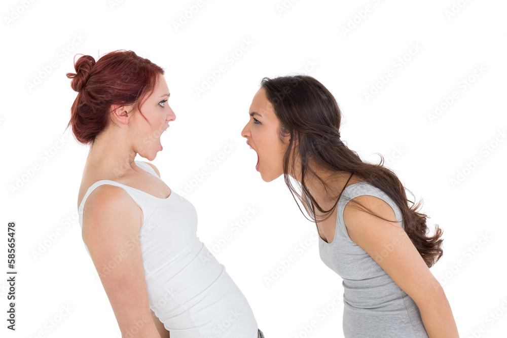 Angry young female friends having an argument Angry young female friends having an argument