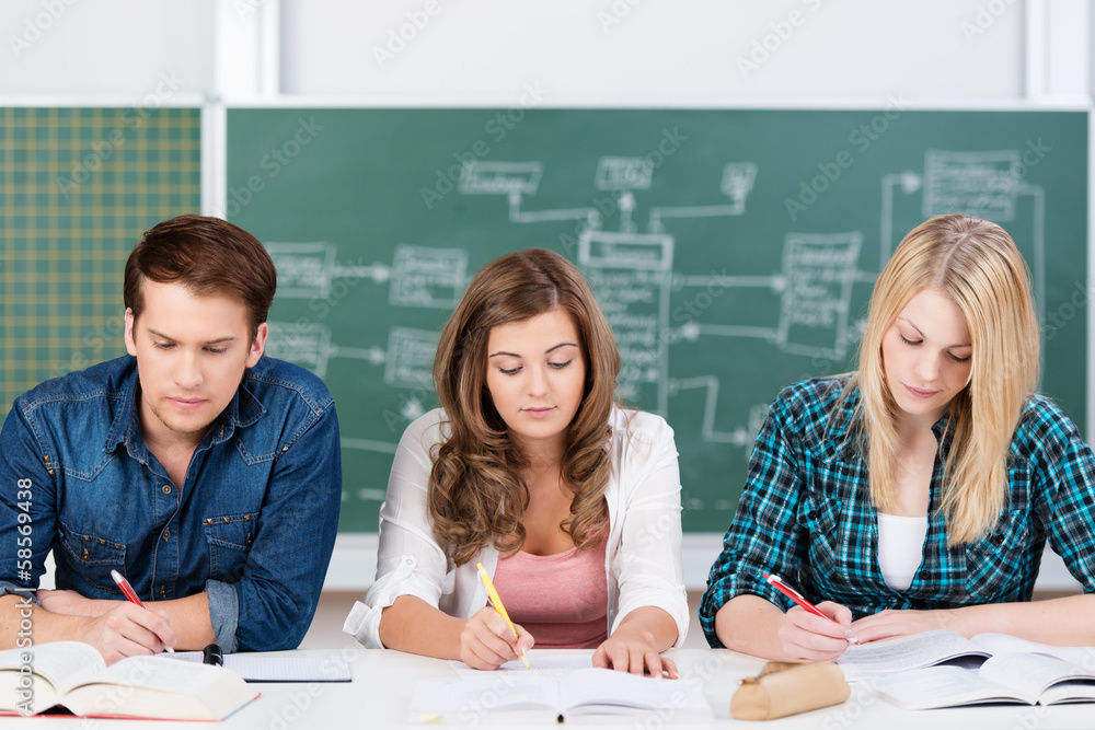 schüler arbeiten konzentriert im unterricht schüler arbeiten konzentriert im unterricht