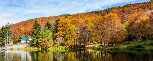 Sunny autumn lake
