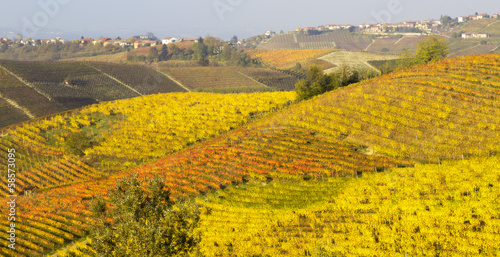 Monferrato vineyards in autumn panorama color image