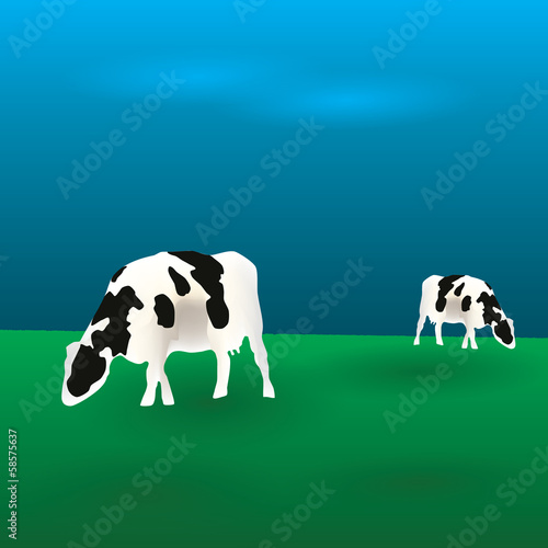cows graze eps10