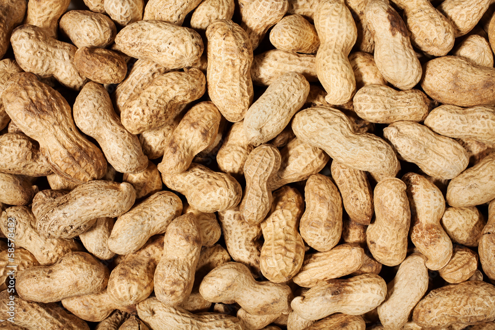 peanuts many peanuts many