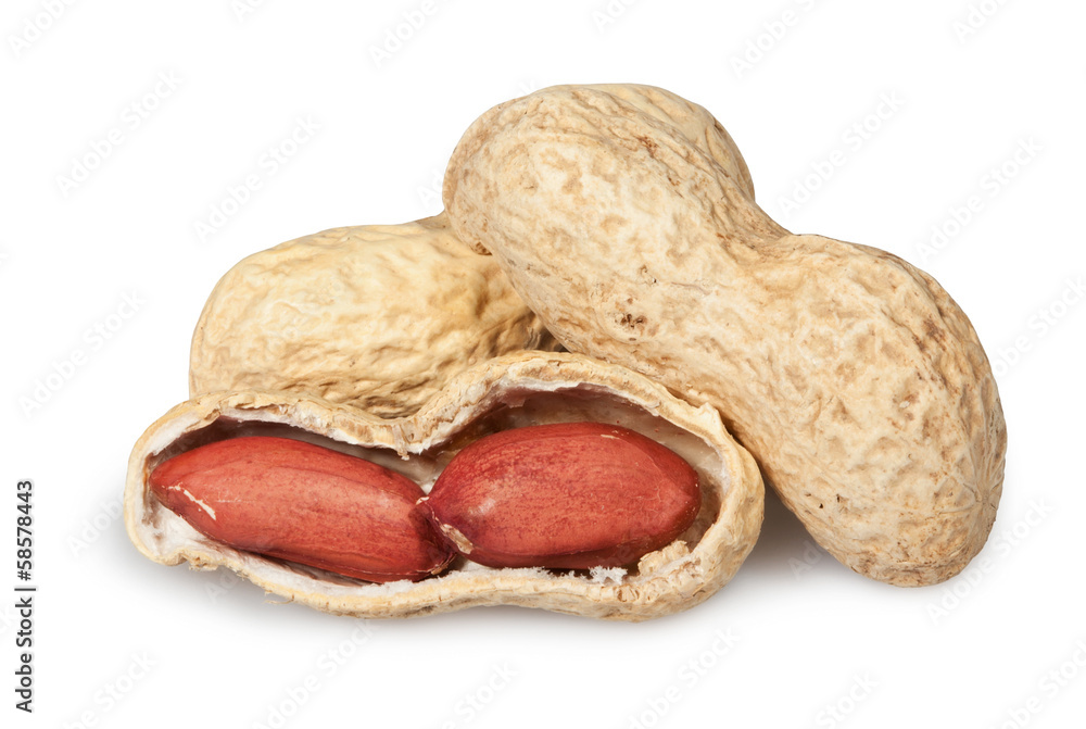 peanuts open peanuts open