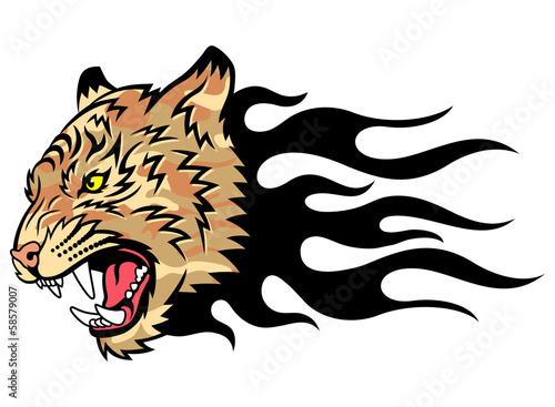Tiger on fire