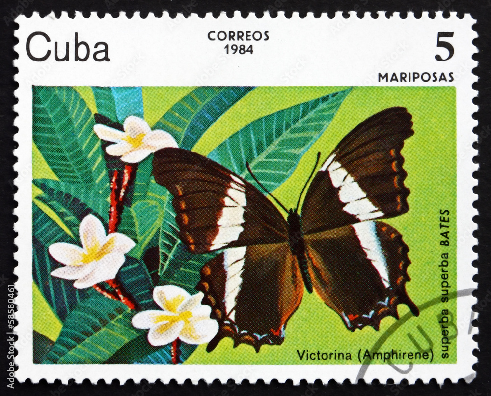 Obraz premium Postage stamp Cuba 1984 Victorina, Butterfly