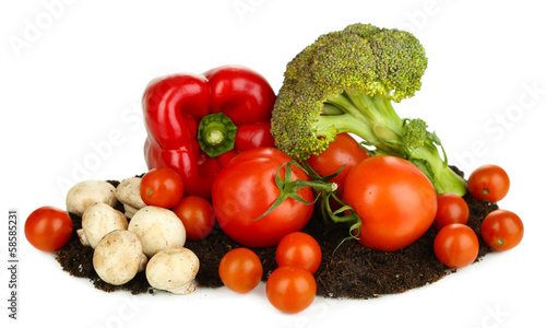 Vegetables on ground isolated on white