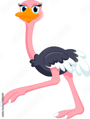 cute ostrich cartoon