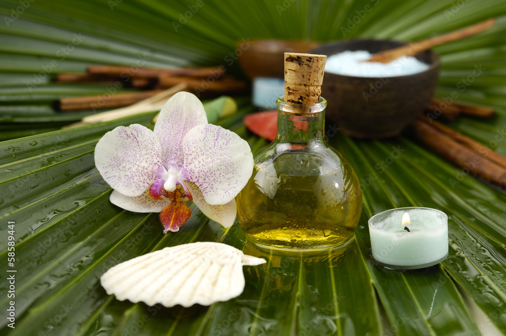 tropical spa tropical spa